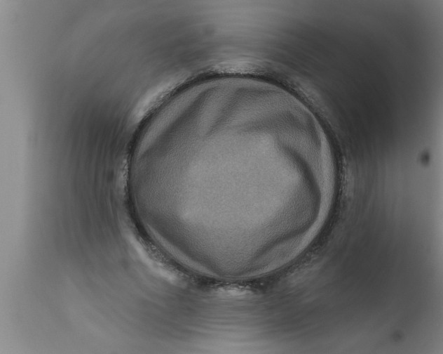 X0000111160586200907211229