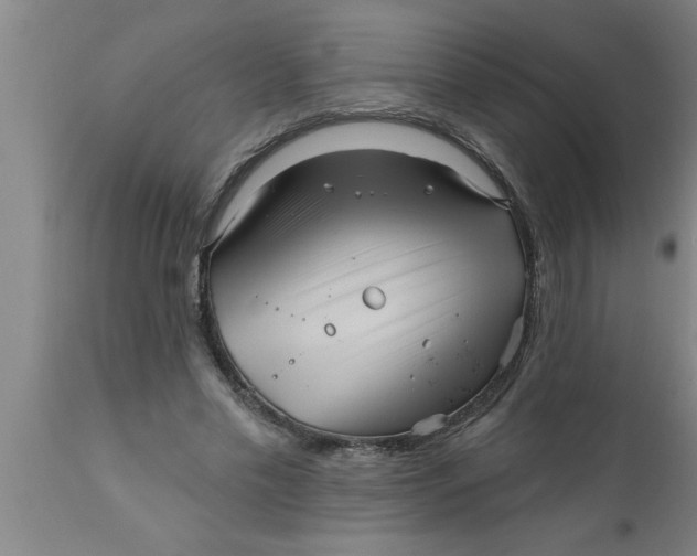 X0000111160589200907211229