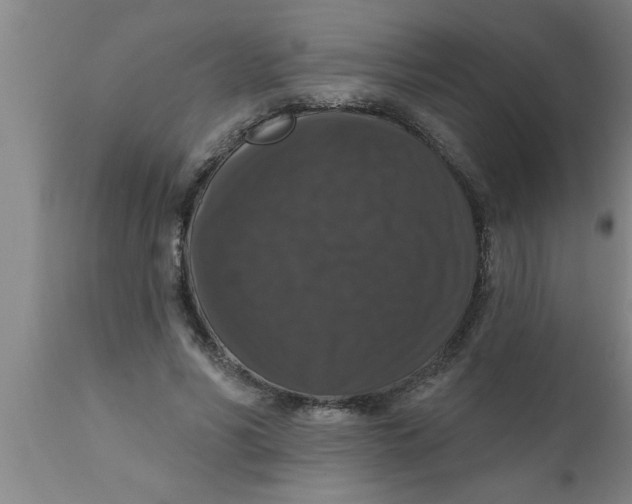 X0000111160590200907211229