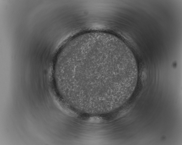 X0000111160591200907211229