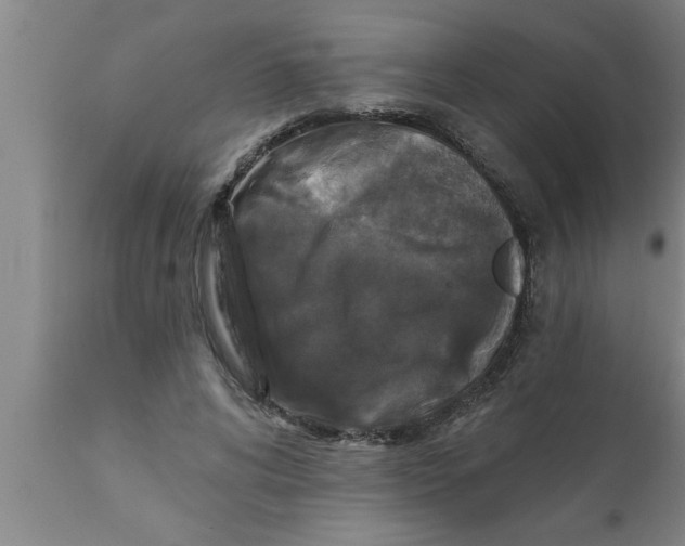 X0000111160592200907211228