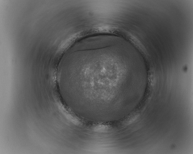 X0000111160593200907211228