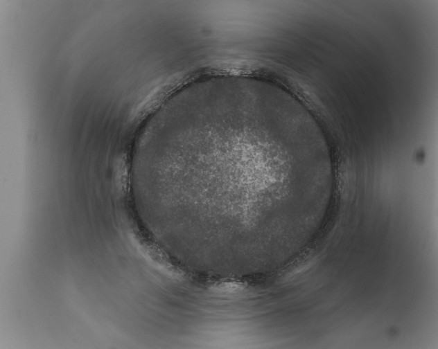 X0000111160594200907211228