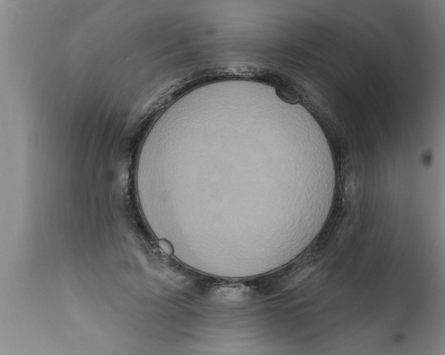 X0000111160595200907211228