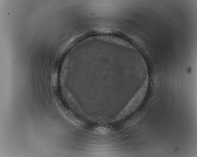 X0000111160596200907211228