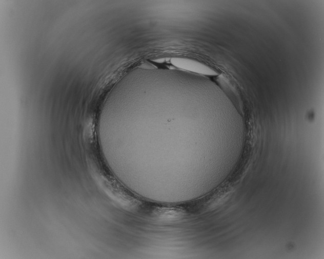 X0000111160597200907211228