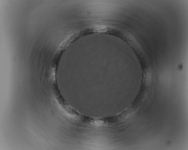 X0000111160598200907211228