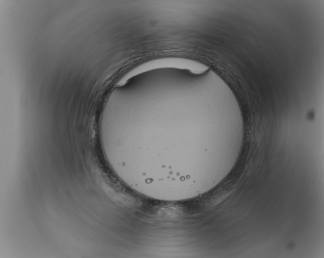 X0000111160599200907211228