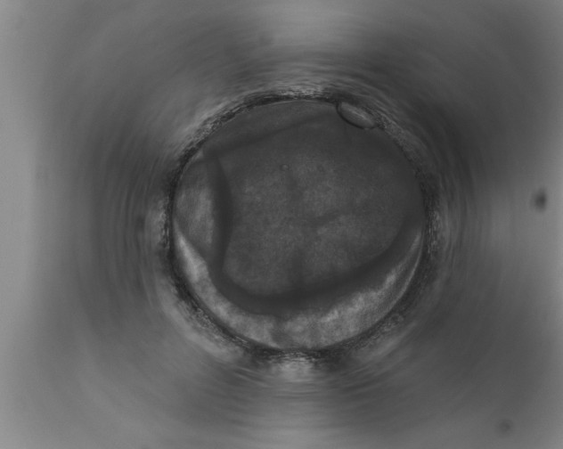 X0000111160600200907211228