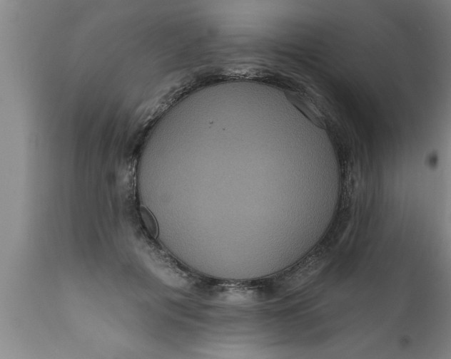 X0000111160601200907211228