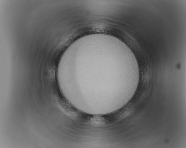 X0000111160603200907211228