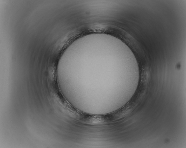 X0000111160604200907211228