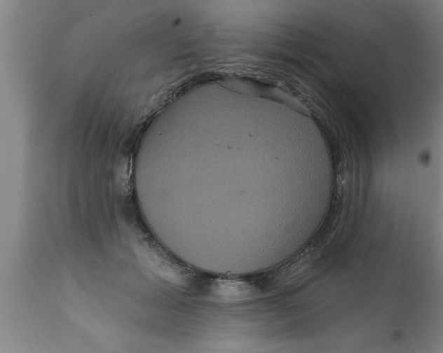 X0000111160605200907211228