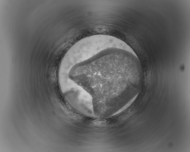 X0000111160606200907211228