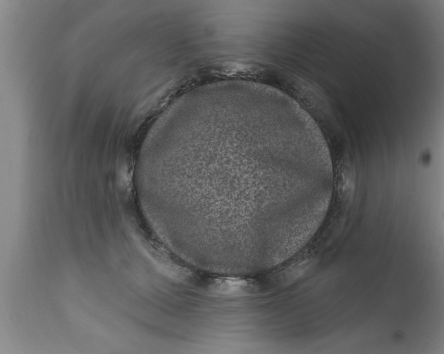 X0000111160607200907211228