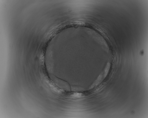 X0000111160609200907211228