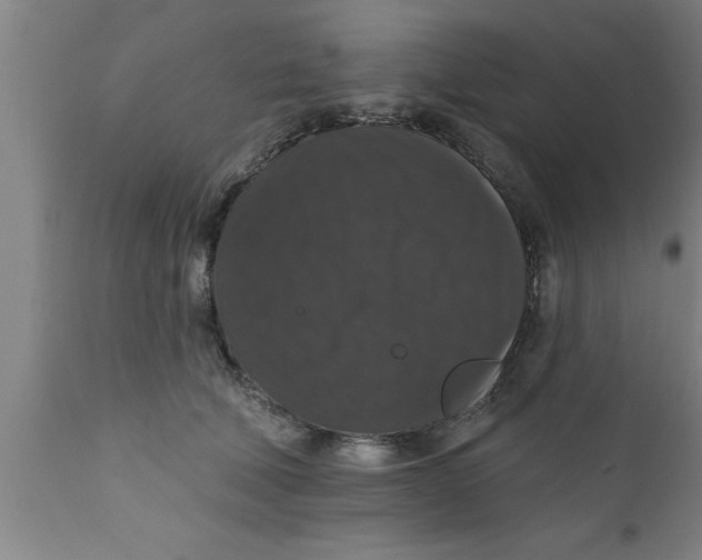 X0000111160610200907211228