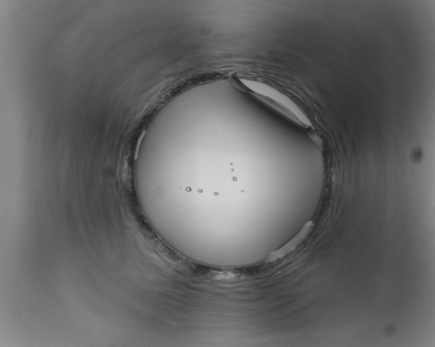 X0000111160611200907211228