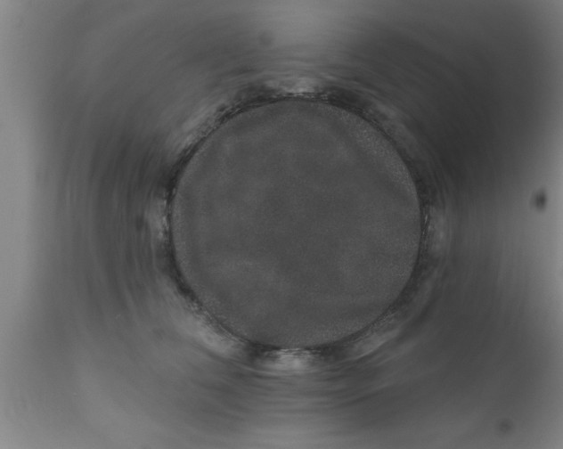 X0000111160612200907211228