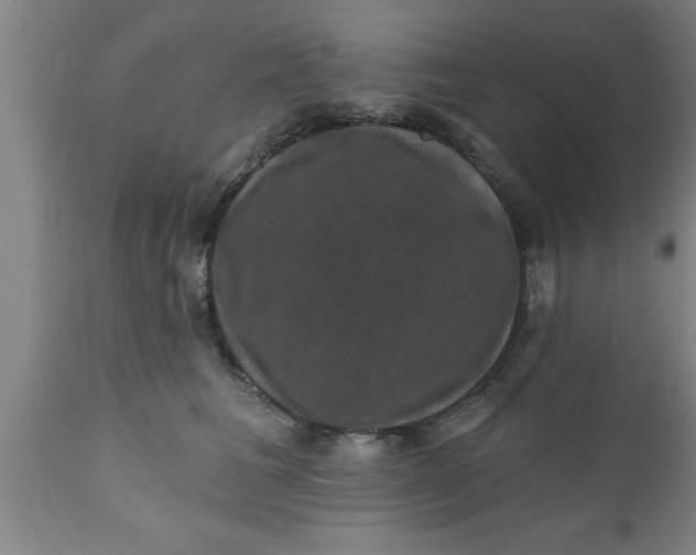 X0000111160613200907211228