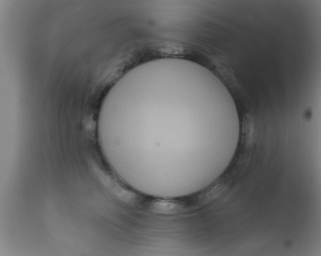 X0000111160614200907211228