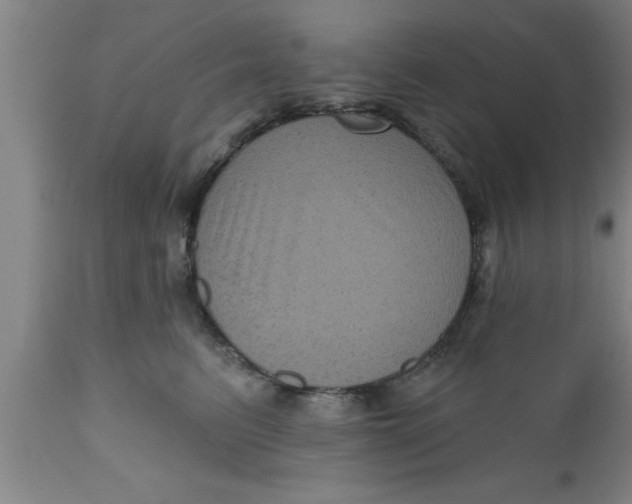 X0000111160615200907211228