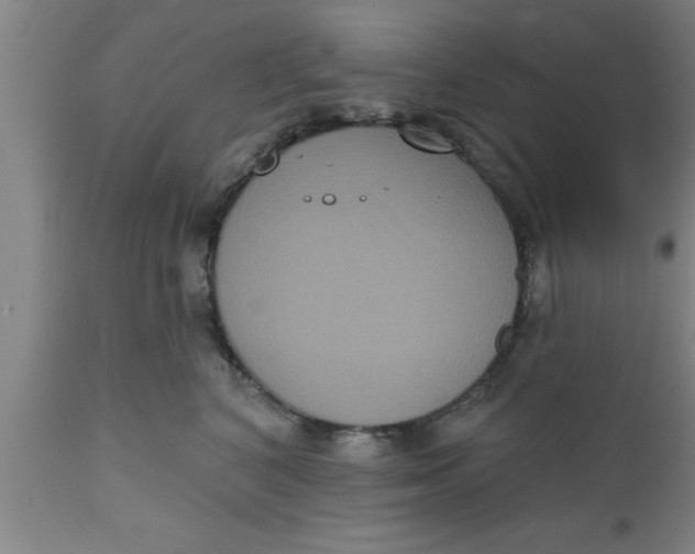 X0000111160616200907211228