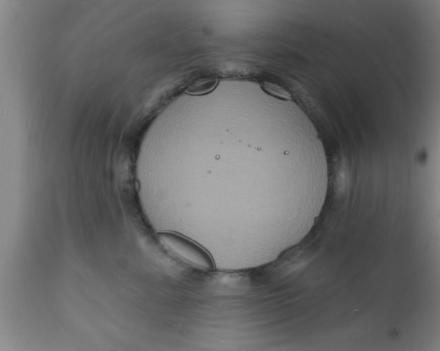 X0000111160619200907211228