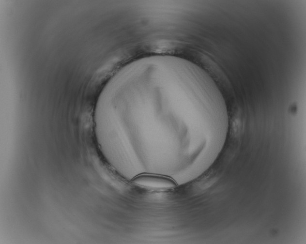 X0000111160620200907211228