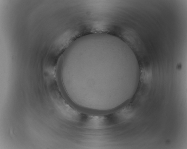 X0000111160621200907211228