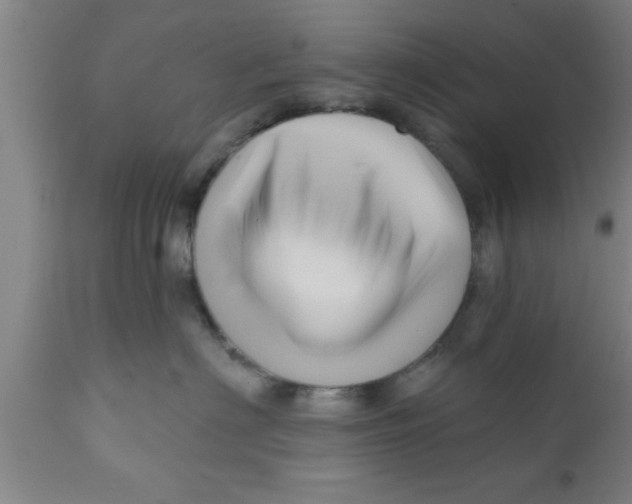 X0000111160622200907211228