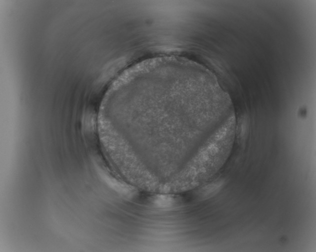 X0000111160623200907211228