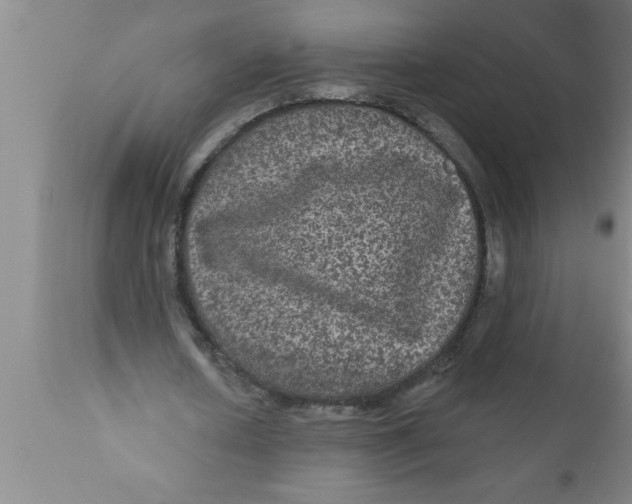 X0000111160626200907211227