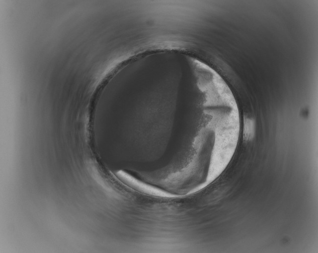 X0000111160627200907211227