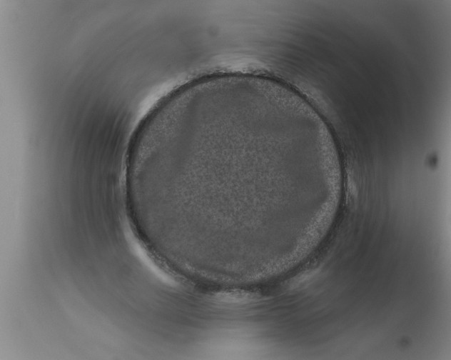 X0000111160630200907211227