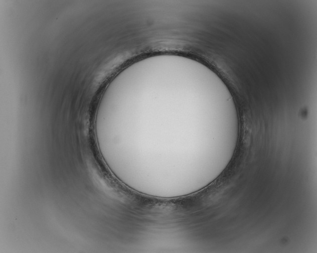 X0000111160631200907211227