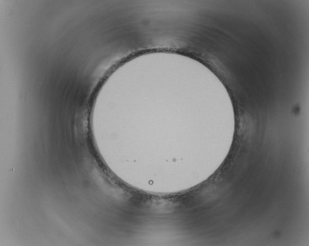 X0000111160632200907211227