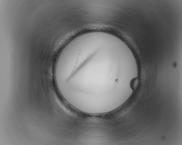 X0000111160633200907211228