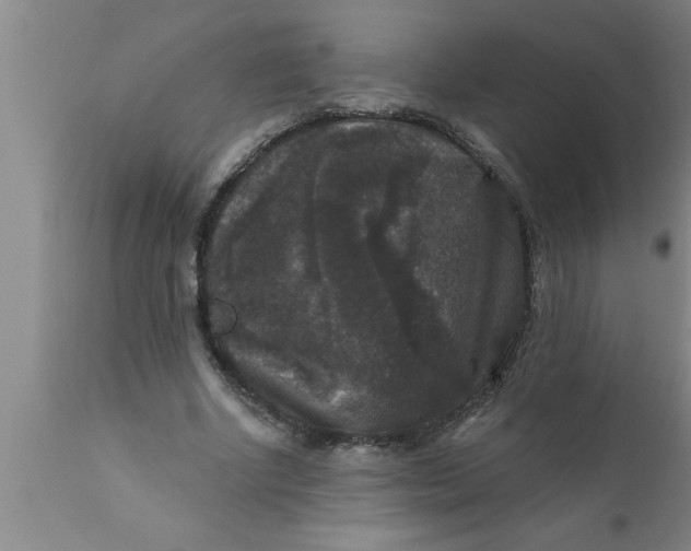 X0000111160634200907211228