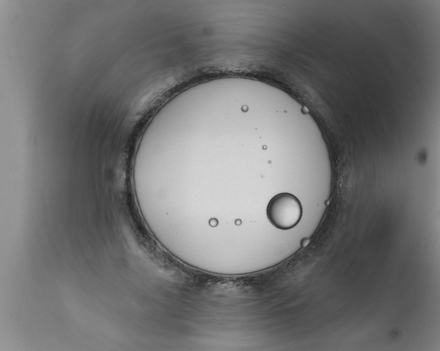 X0000111160635200907211228