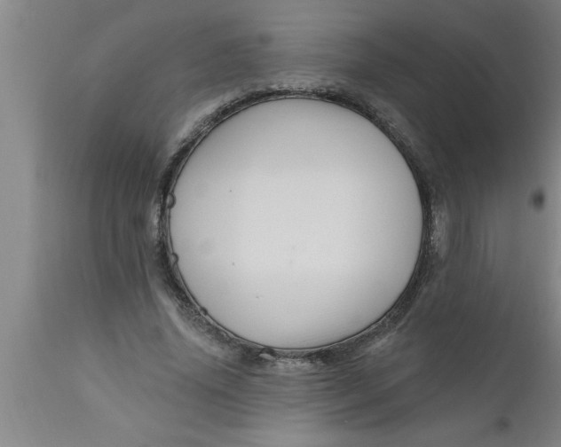 X0000111160636200907211228