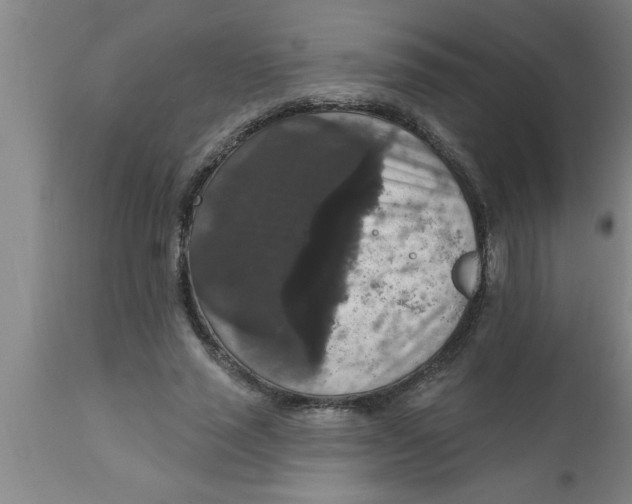 X0000111160637200907211228