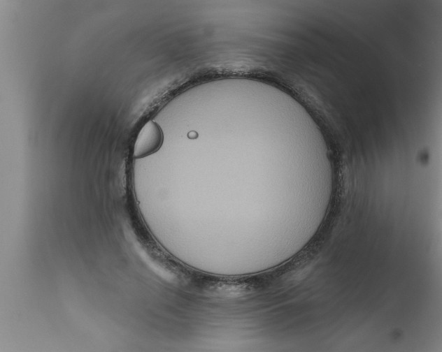 X0000111160638200907211228