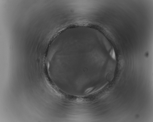 X0000111160641200907211228