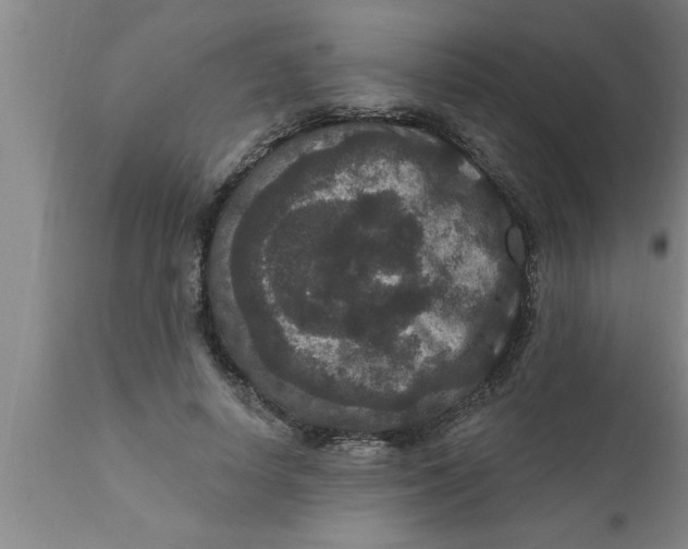 X0000111160642200907211228