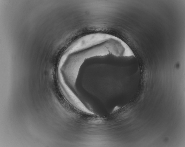 X0000111160643200907211228