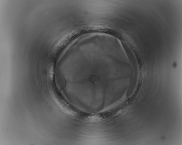 X0000111160644200907211228