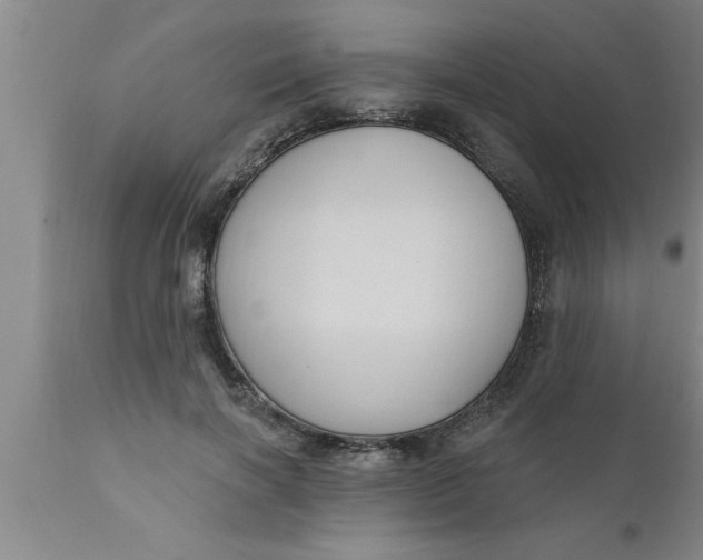 X0000111160646200907211228