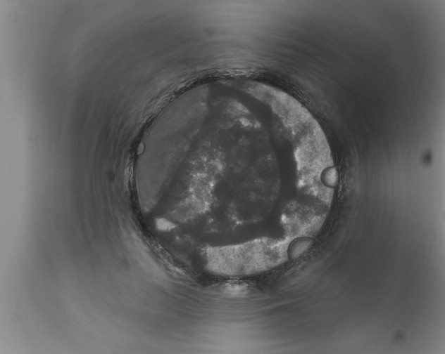 X0000111160647200907211228