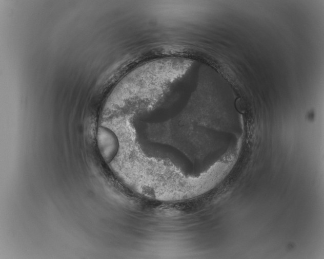 X0000111160648200907211228